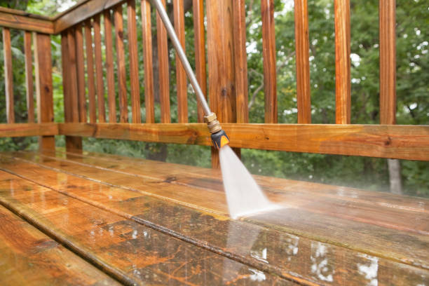Best Animal Enclosure Cleaning  in Anamosa, IA